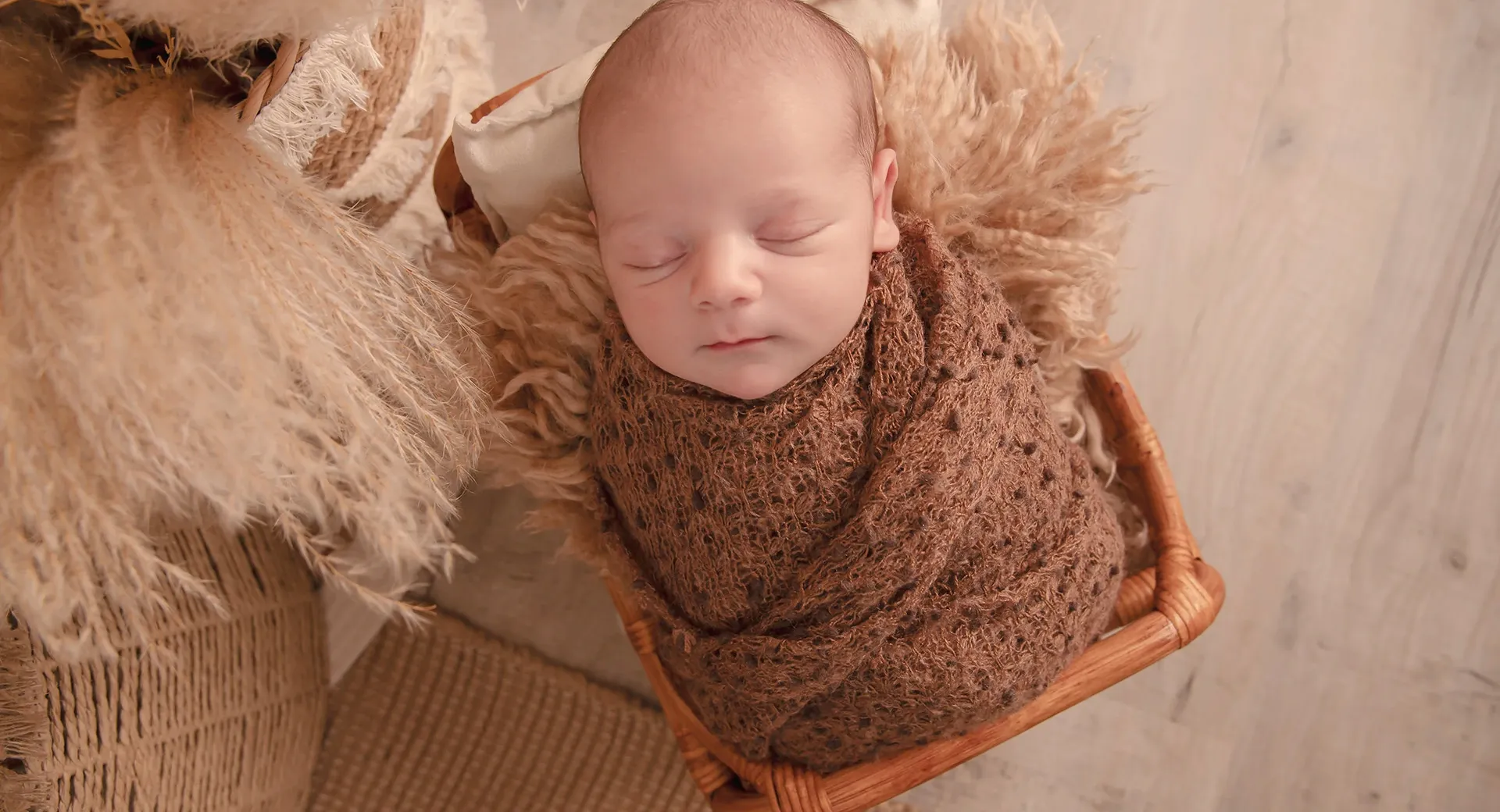 bebe